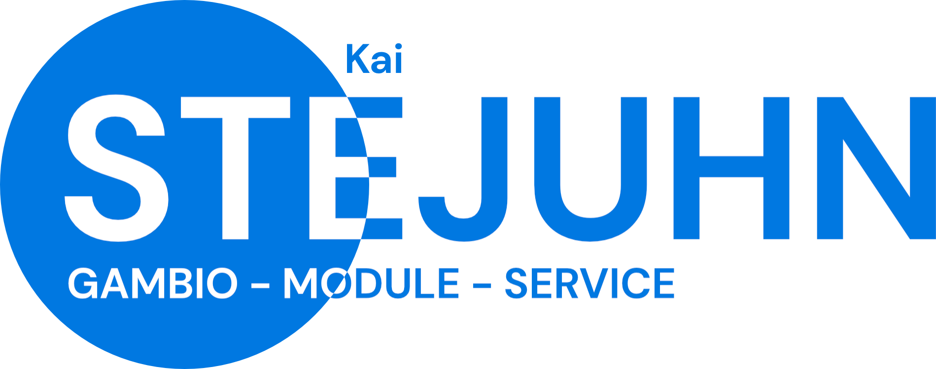 Kai Stejuhn-Logo